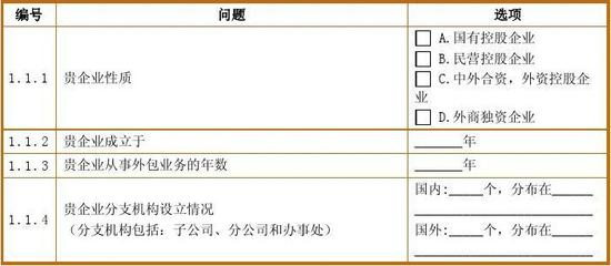 軟件與信息服務(wù)外包 現(xiàn)代企業(yè)的戰(zhàn)略選擇